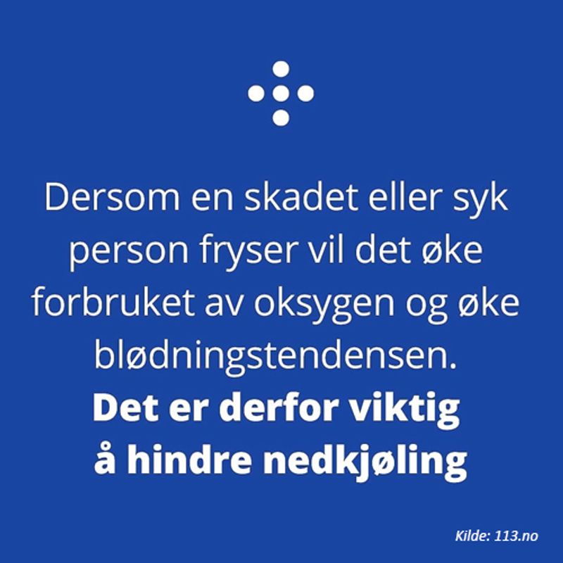 Blizzard Thermoteppe orange